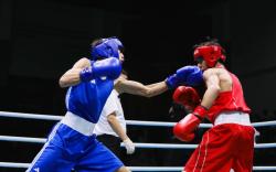 Boxing Streams: Watch Every Fight Live for Free